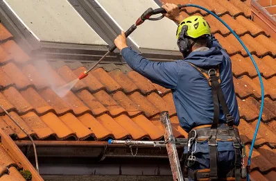 Démoussage et hydrofuge de toiture à Beaucroissant